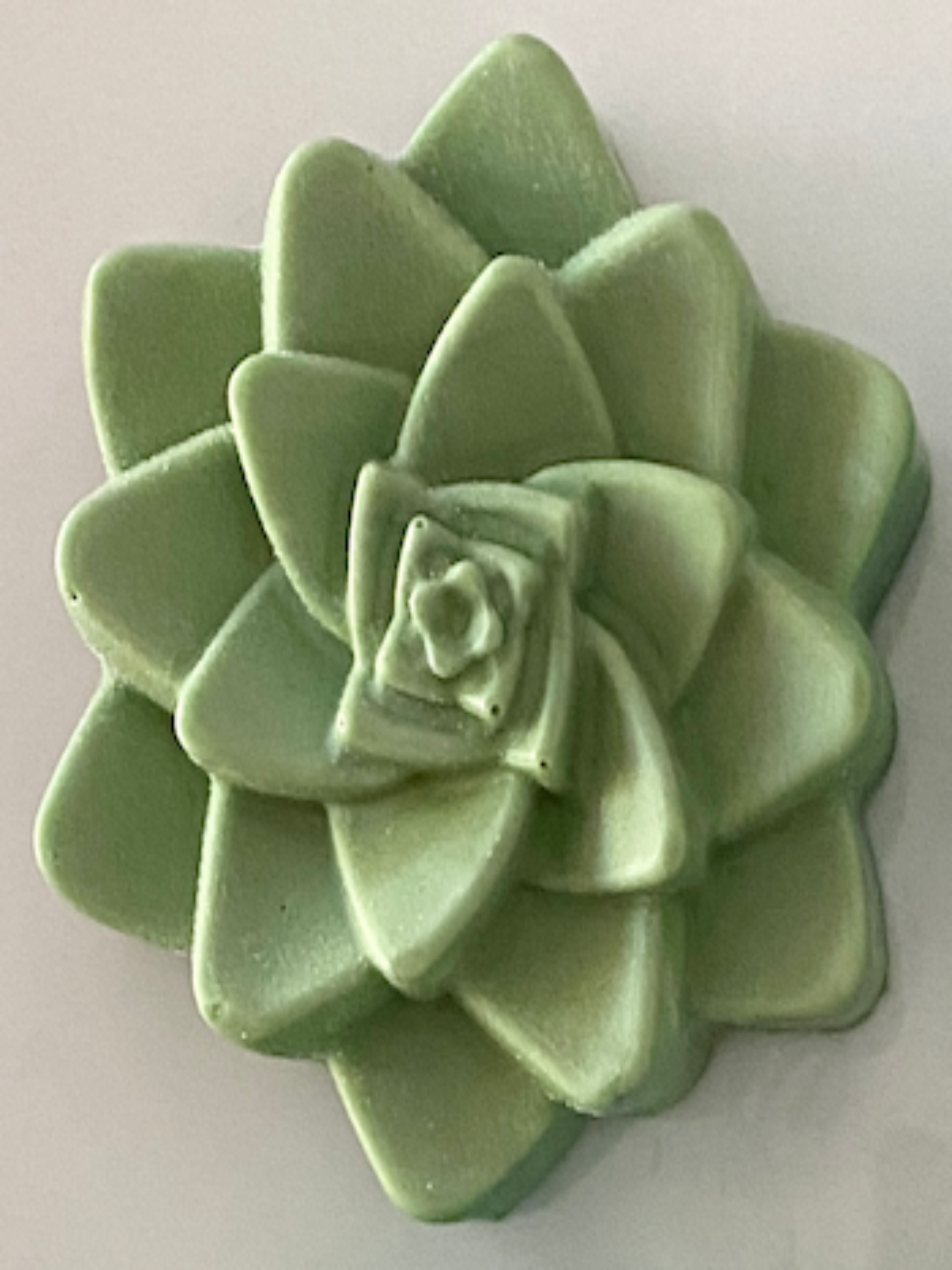 Swell Candle Co - Wholesale Bar Soap - Succulent Soap1