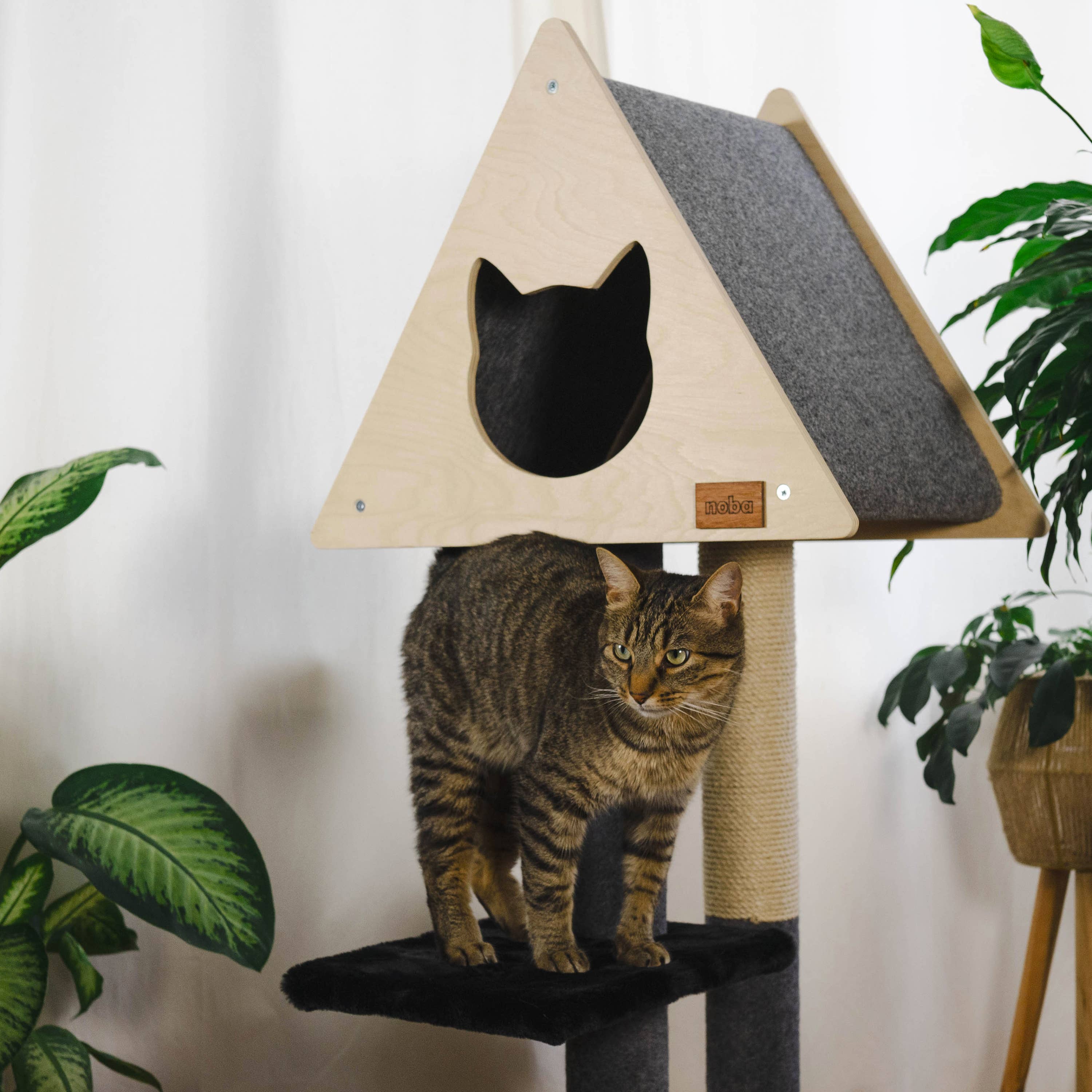 Noba Animal Co. - Vente Griffoir – chat - Cachette Tipi - Arbre à Chat Deluxe à 2 Niveaux9