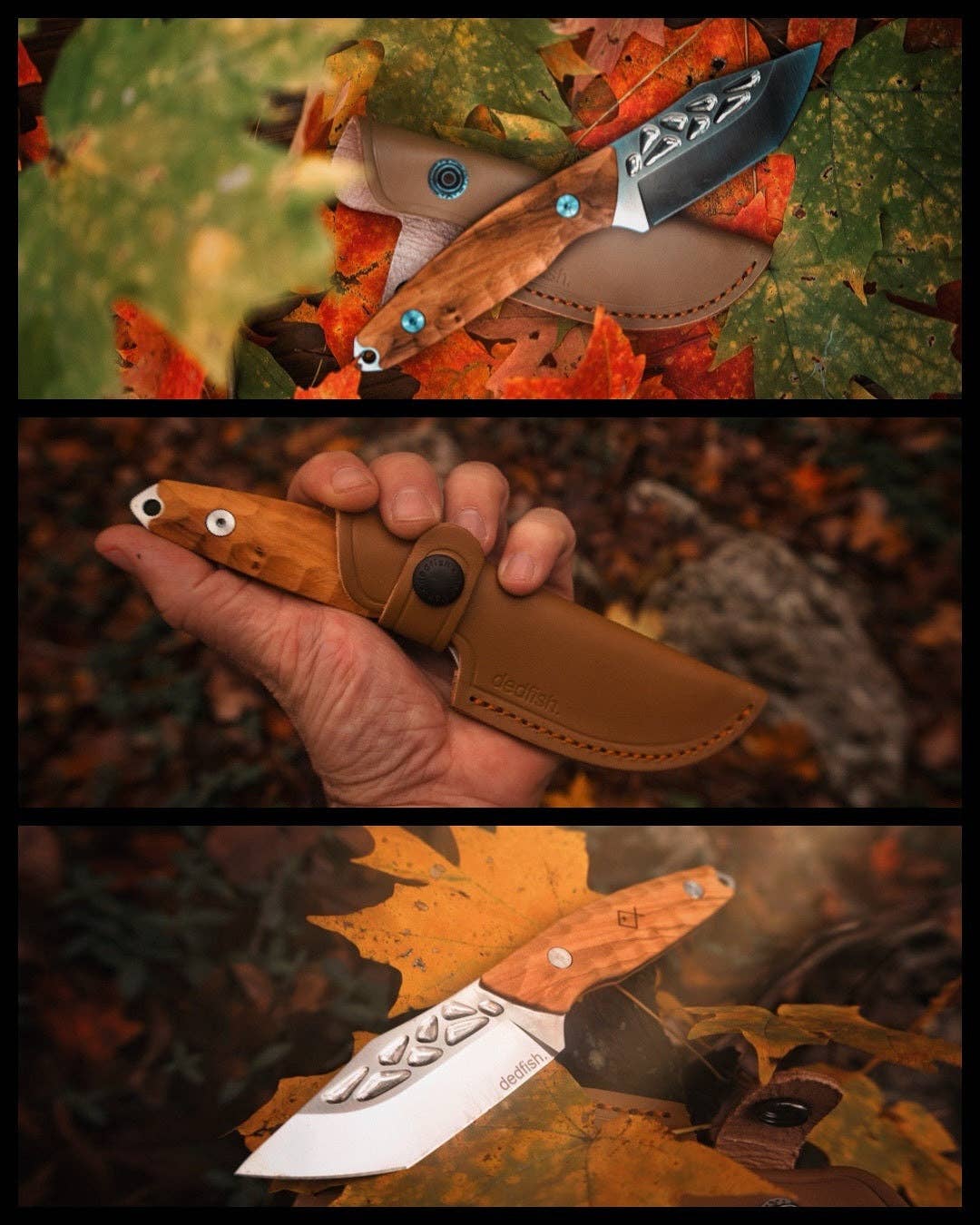 BattlBox - Wholesale Pocket Knife/Holder - Dedfish Co McCrea Stainless Steel Fixed Blade Belt Knife EDC11