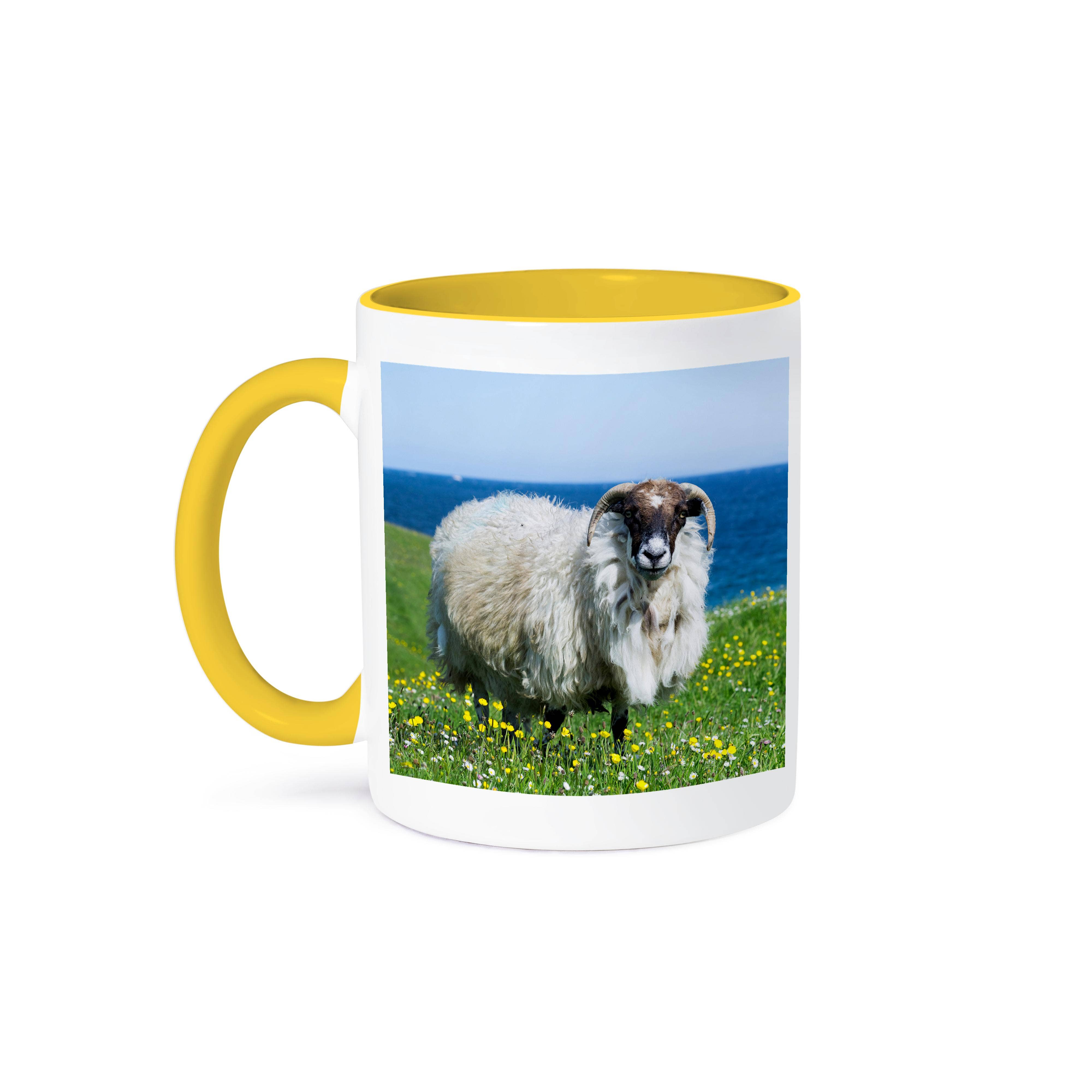 3dRose - Wholesale Coffee Mug - 3dRose, Scottish Blackface on Isle of Harris, Scotland, Mug0