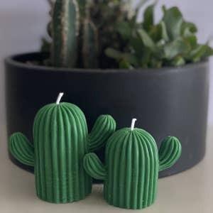 Mold: Cactus straw topper
