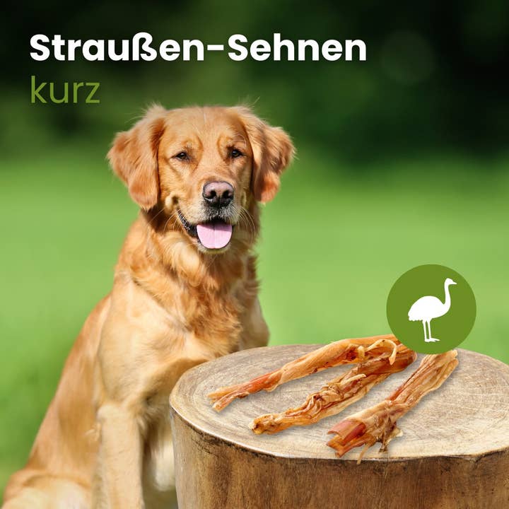 Kauartikel.com GmbH - Wholesale Pet Bone/Rawhide - Dog - ostrich tendons, short1