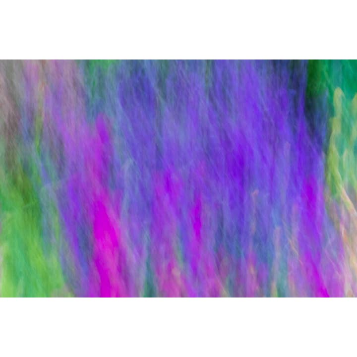 Dance Beneath the Neon Moon Fine Art Print for wholesale by Christi Kraft Photography