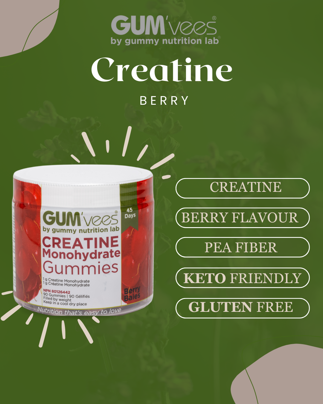 GUM'vees - Vendita all'ingrosso Vitamine/integratori orali - Gummies alla creatina - Barattolo da 90 caramelle8