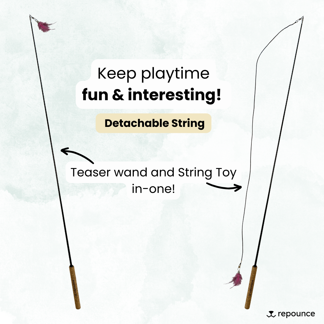 Repounce - Wholesale Pet Toy - Cat - Forever Stick™ - The Unbreakable Cat Wand6