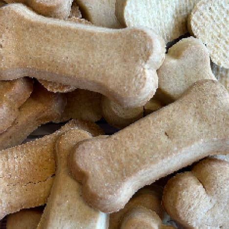 Doggy Noggy Delight for wholesale by Leaps & Bones