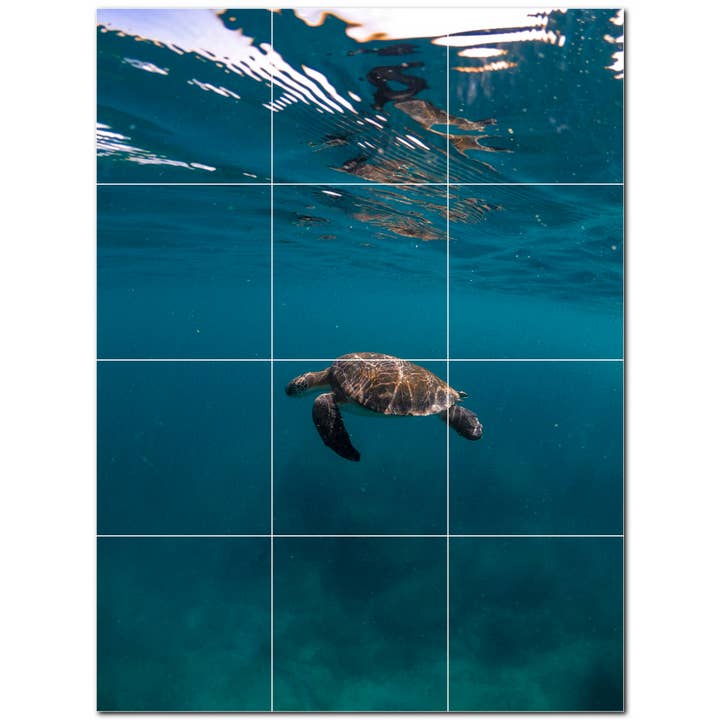 Decorazione murale in ceramica con tartaruga marina PT501078 per la vendita all'ingrosso da parte di Picture-Tiles.com