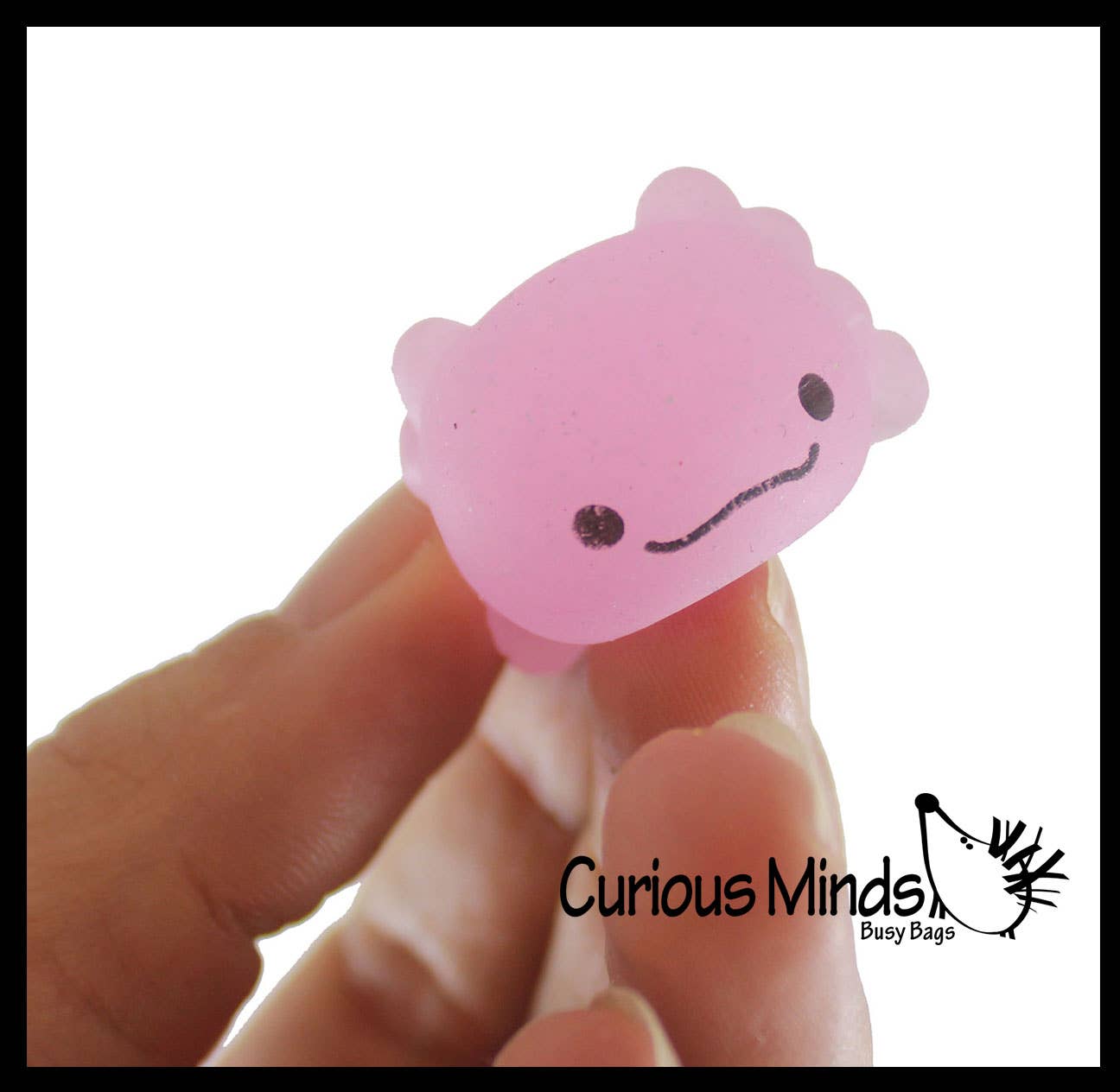 Curious Minds Toys - Wholesale Squishy Toy - Kids & Baby - 1 Axolotl Mochi Squishy Animals - Kawaii - Cute Jelly OT11