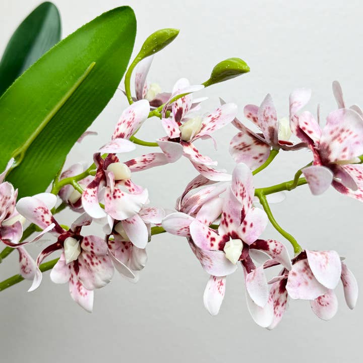 Angel Isabella - Wholesale Artificial Flowers - 17"Artificial Arachnis Orchid Real Touch Leaves
