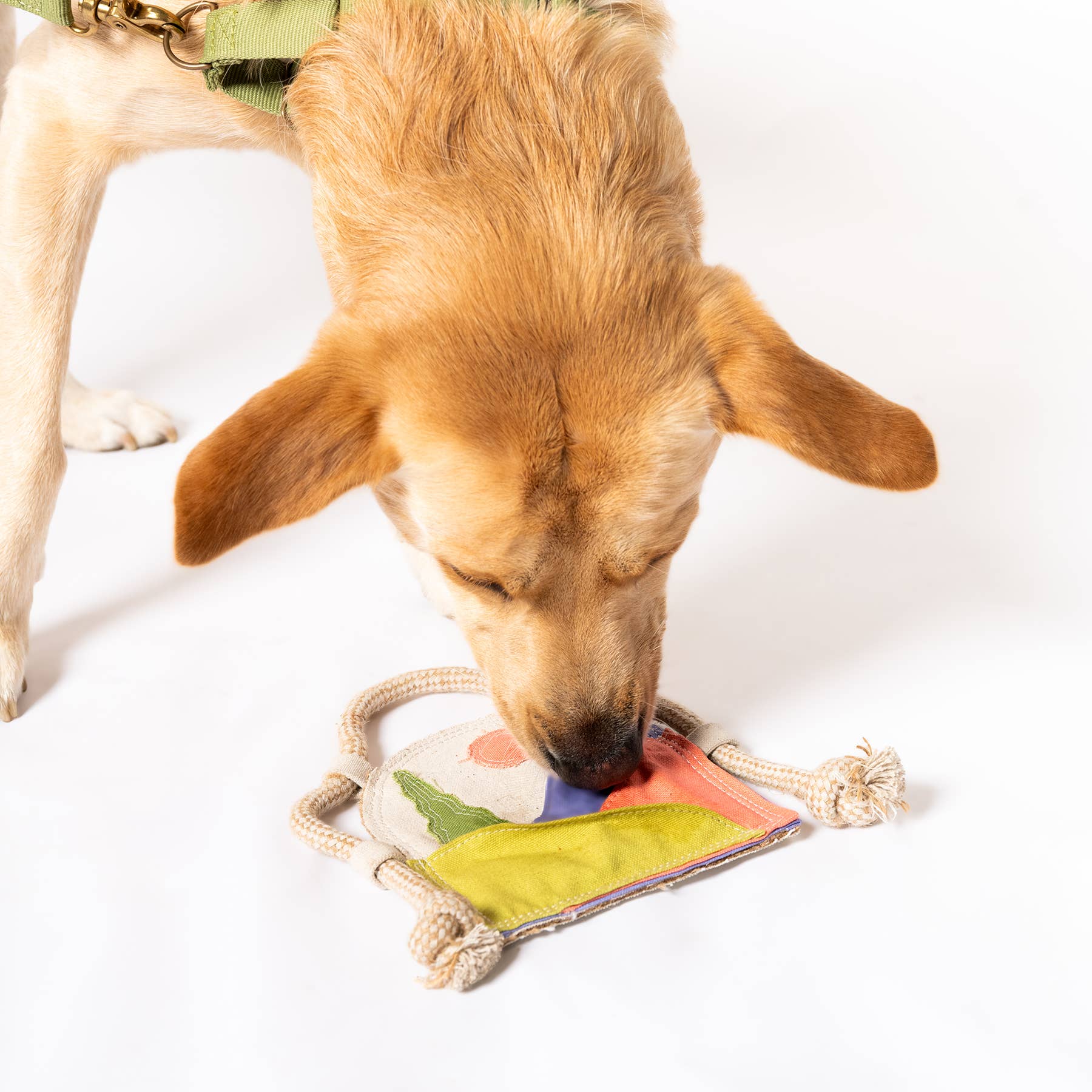 Awoo - Wholesale Pet Toy - Dog - Scenic Stasher Canvas Puzzle Toy - Casepack - Last Chance3