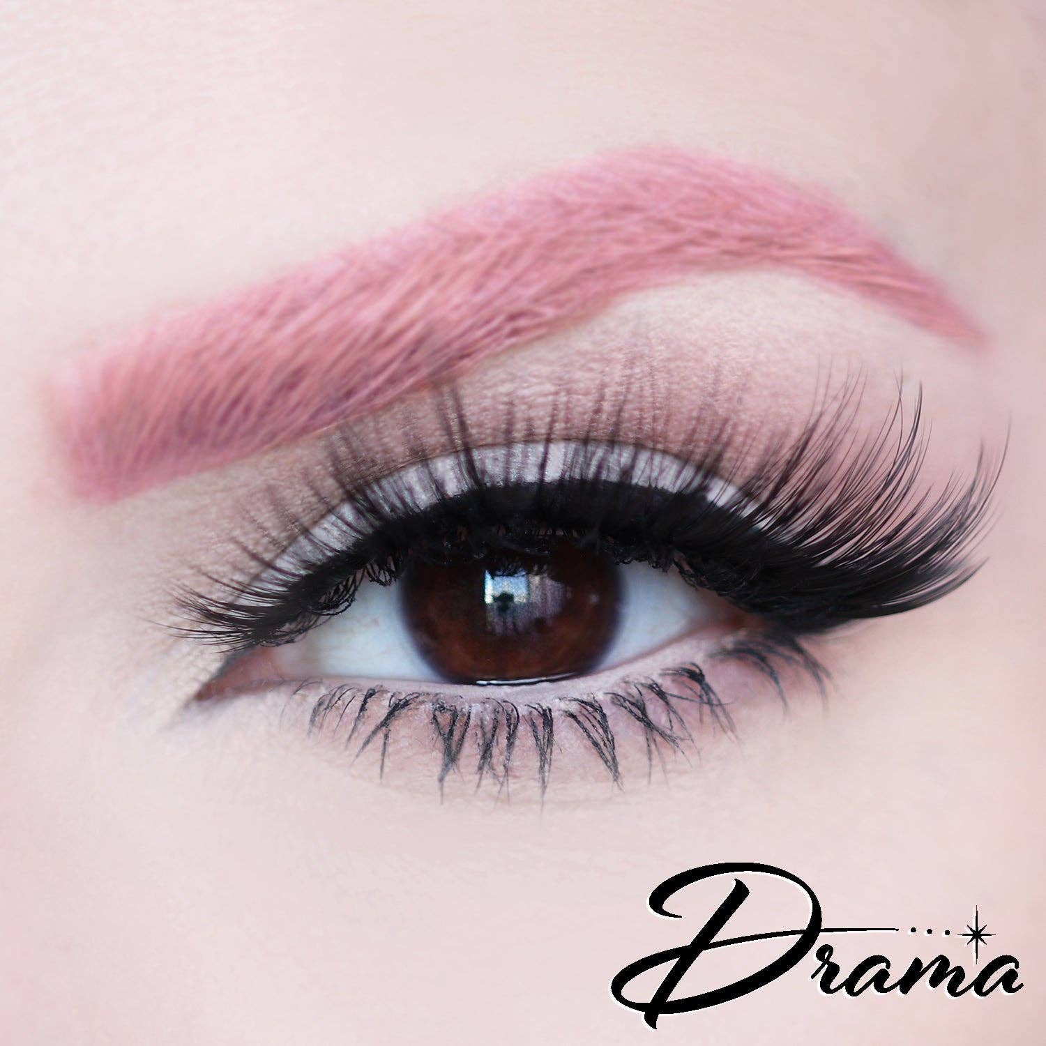 Dafna Beauty – wholesale False/fake eyelashes – D Poodle Collection- Lashes in Compact9