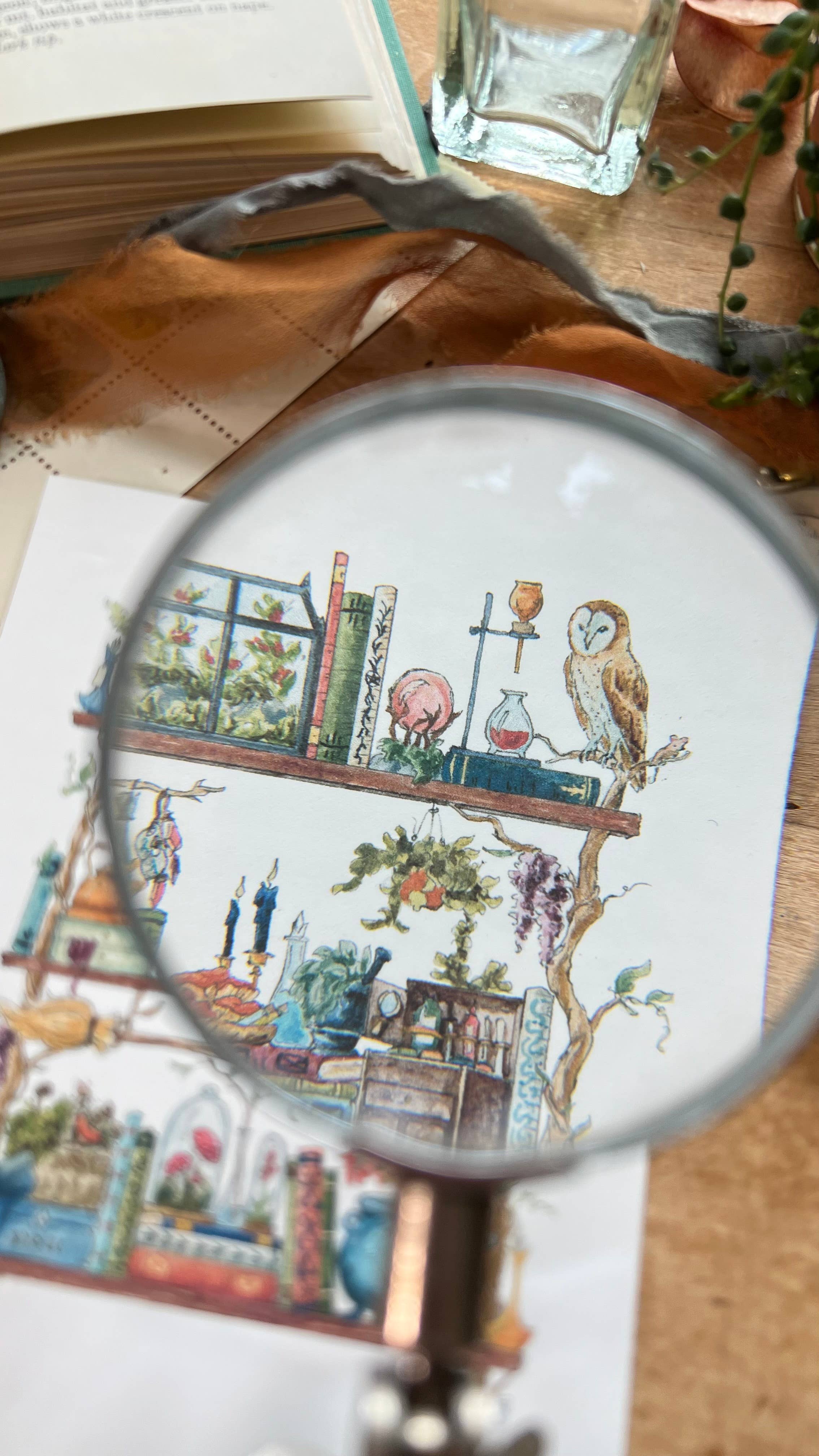 Lizzy Gass - Wholesale Postcard - The Forest Witch's Shelves Postcard5