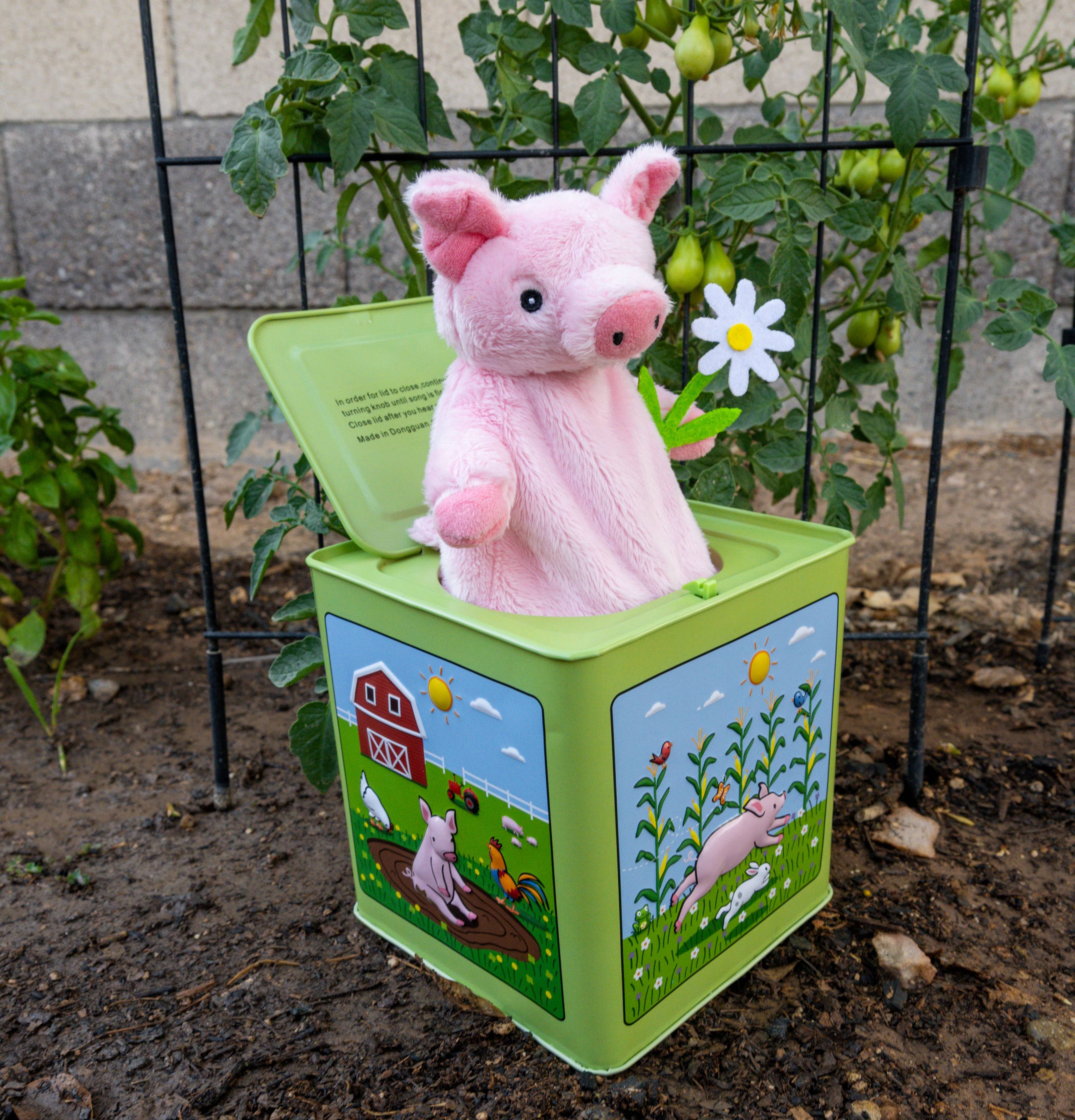 Jack Rabbit Creations - Wholesale Toy Set - Kids - Poppy the Pig Jack in the Box3