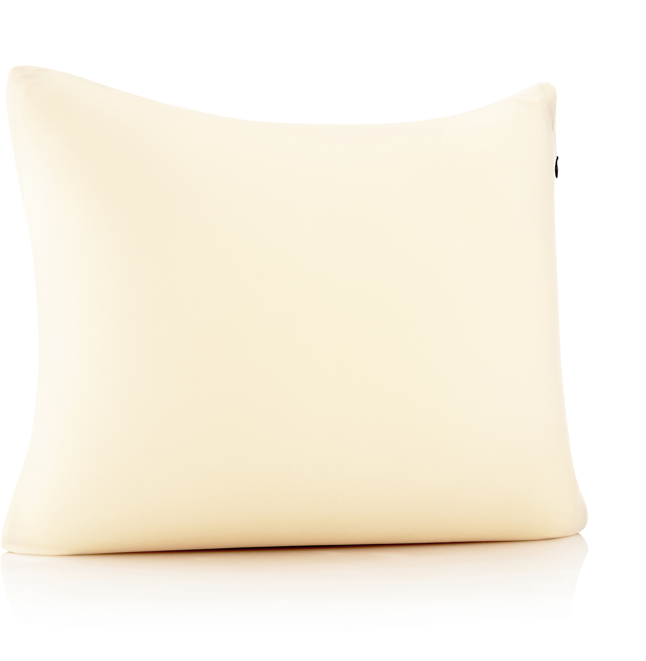 Husband Pillow - Wholesale Throw/Decorative Pillow - 360 - PilSpan-22X22-OffCream11