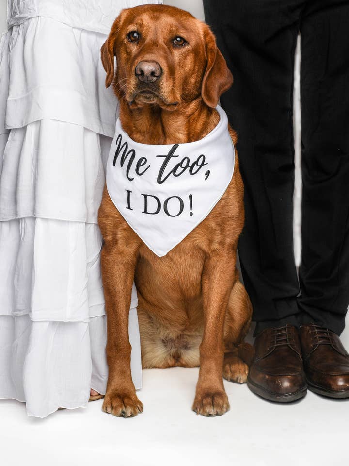 Geborduurde trouw-BFF bandana voor wholesale door Kendall Wags