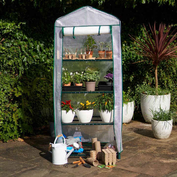 Bramble - Wholesale Plant Pot - 4 Tier Mini Greenhouse