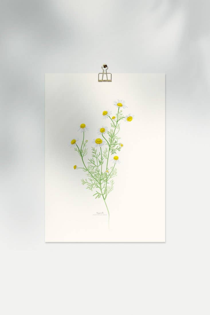 Save the date projects - Wholesale Art Print - MANZANILLA Decorative Film7