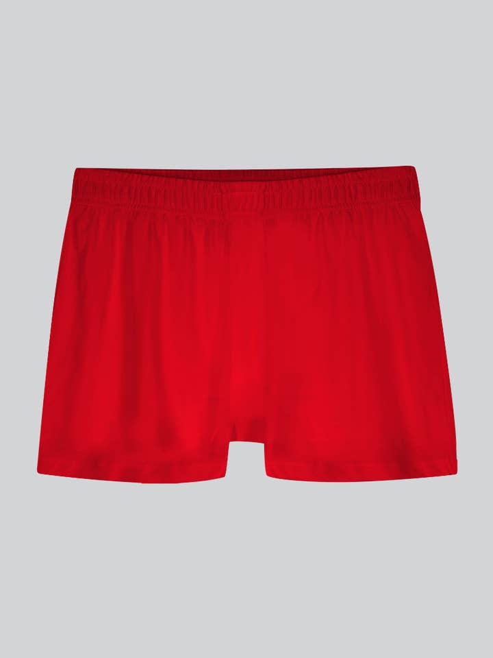 KENT - Wholesale Underwear – Men's - Men's Organic Cotton “Breather" Brief (synthetic-free)9