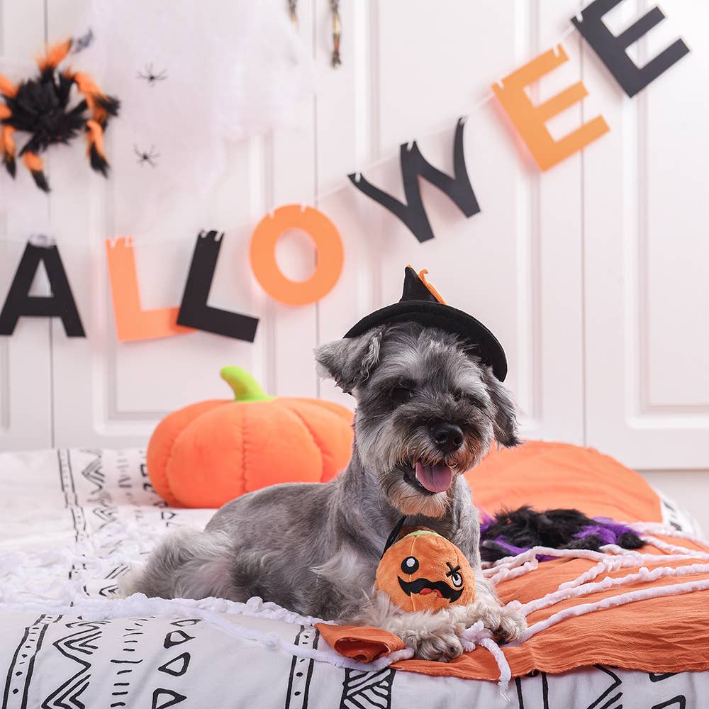 Hugsmart Products Inc - Wholesale Pet Squeaky Toy - Dog - HugSmart Pet - Howloween Night | Pumpkin - Dog Ball Toy3