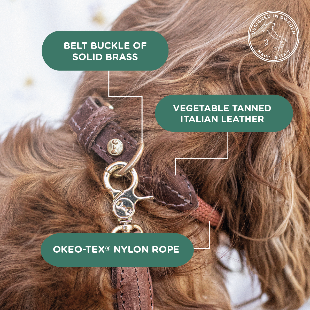 Denjo Dogs - Wholesale Pet Collar - Dog - Dog collar Torekov Rusty Bronze1