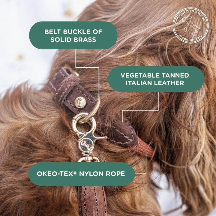 Denjo Dogs - Wholesale Pet Collar - Dog - Dog collar Torekov Rusty Bronze1