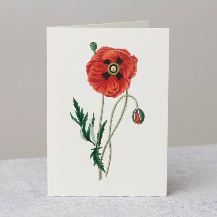 Valmue lykønskningskort med kuvert, håndlavet blomster gave for engroshandel hos The Zoologist Archives