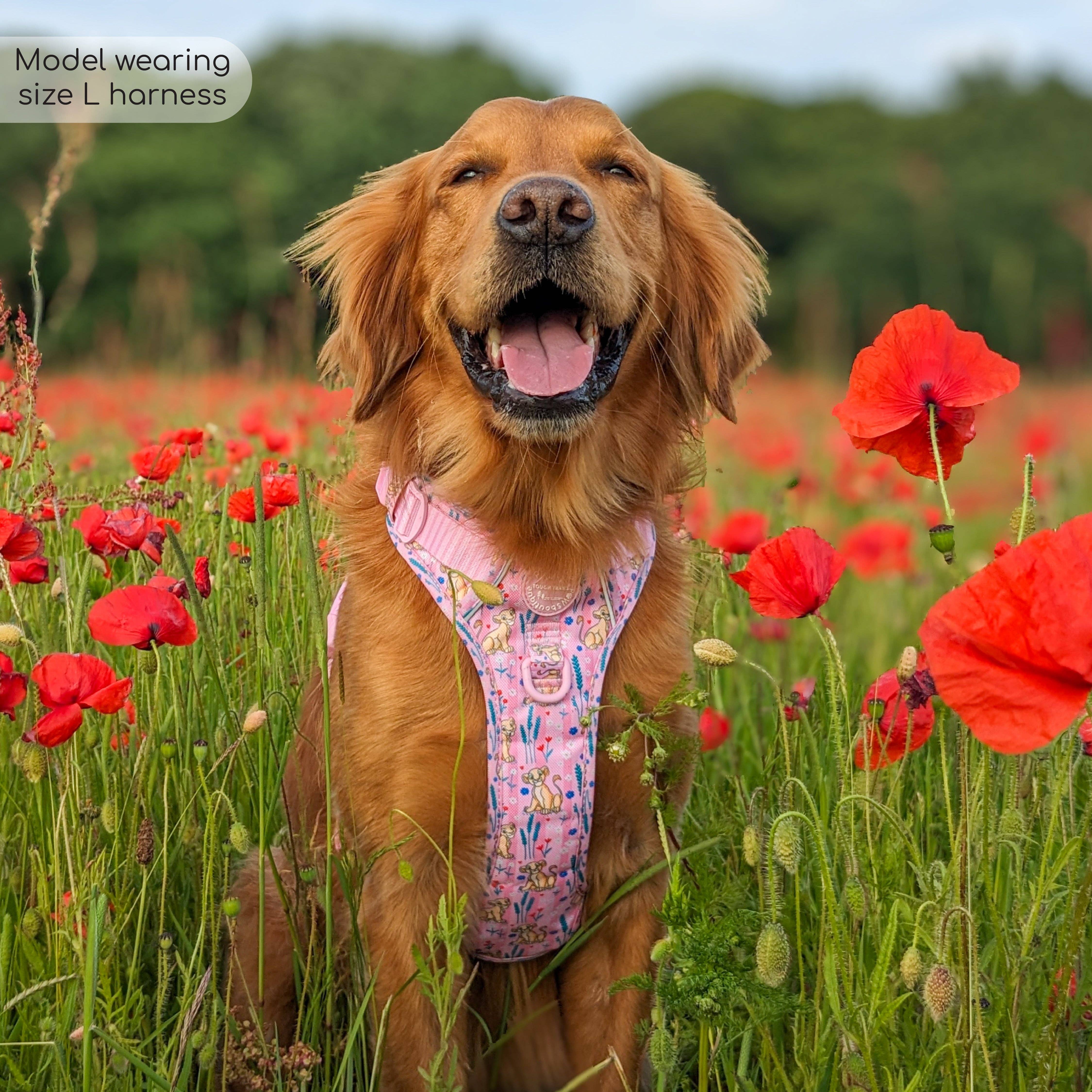 Pawsome Paws - Vendita all'ingrosso Pettorina - Cani - Imbracatura Disney© Tough Trails™ - Nala18