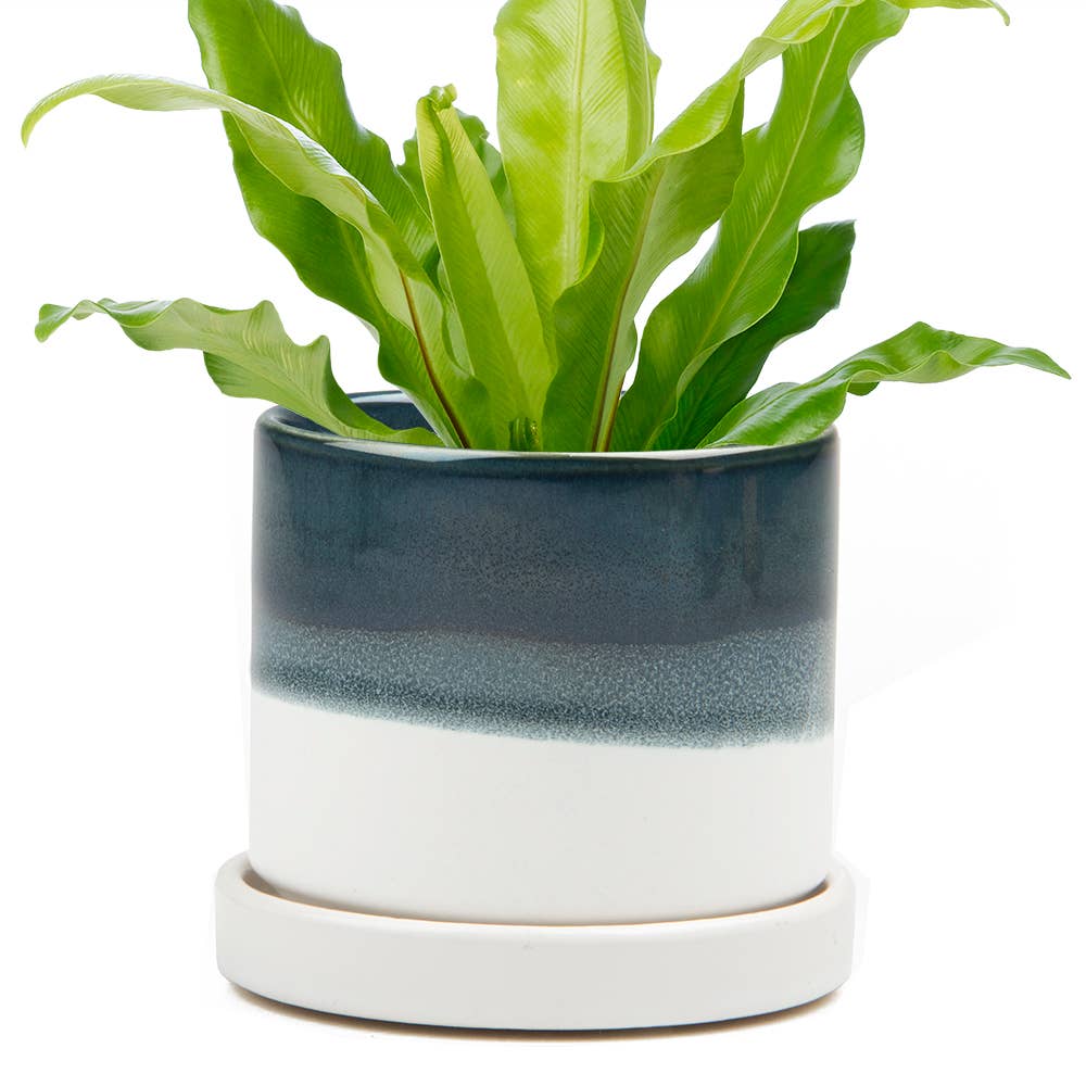 Chive - Wholesale Plant Pot - Minute Handmade Ceramic Planter Indoors Pot With Saucer6