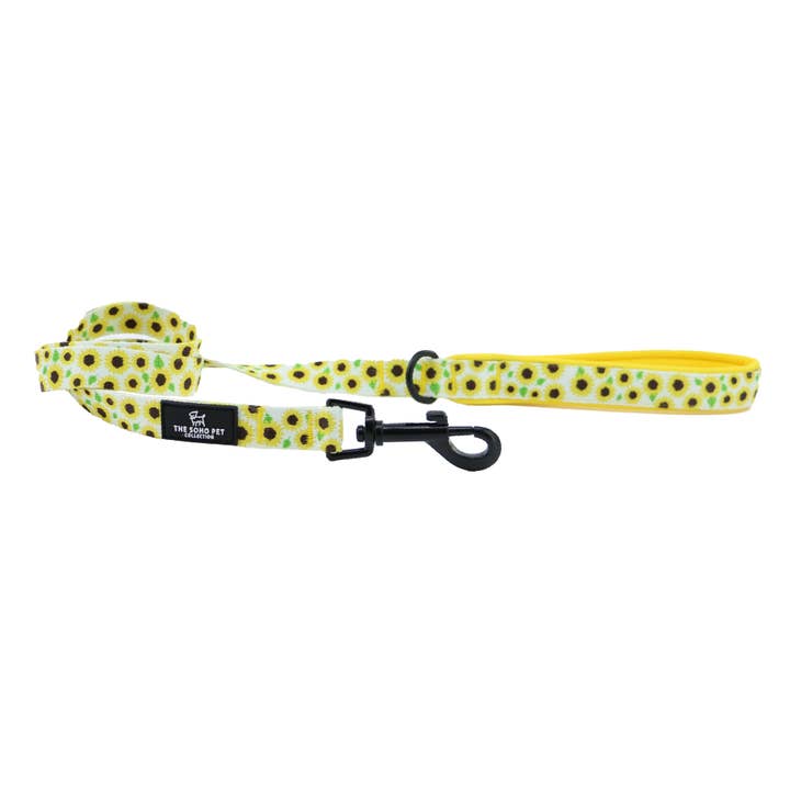 Ancol Pet Products Ltd - Vendita all'ingrosso Guinzaglio - Cani - Ancol Soho, guinzaglio a forma di girasole, 100 x 1,9 cm