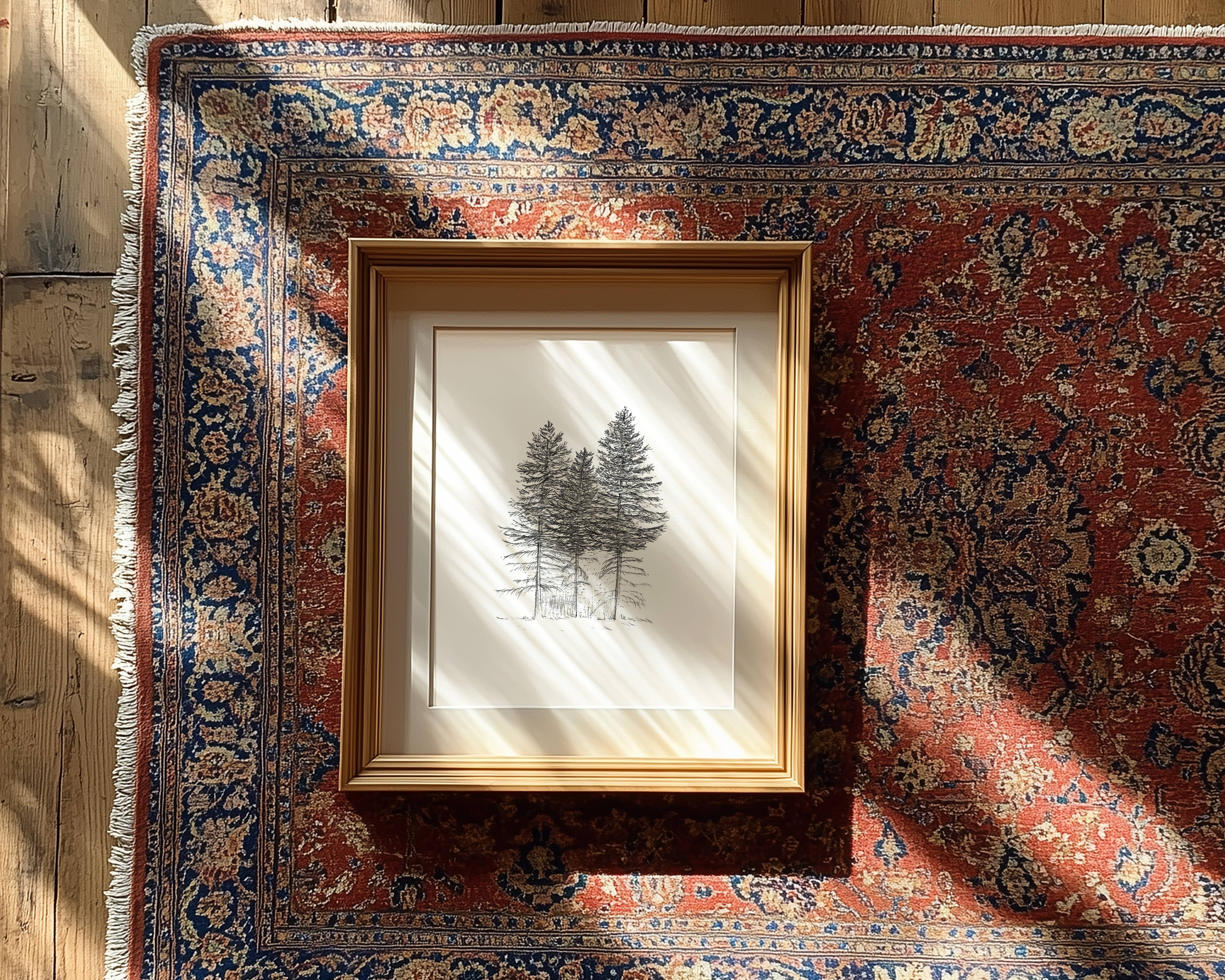 Vanee.ink - Wholesale Art Print - Noble Firs Print2