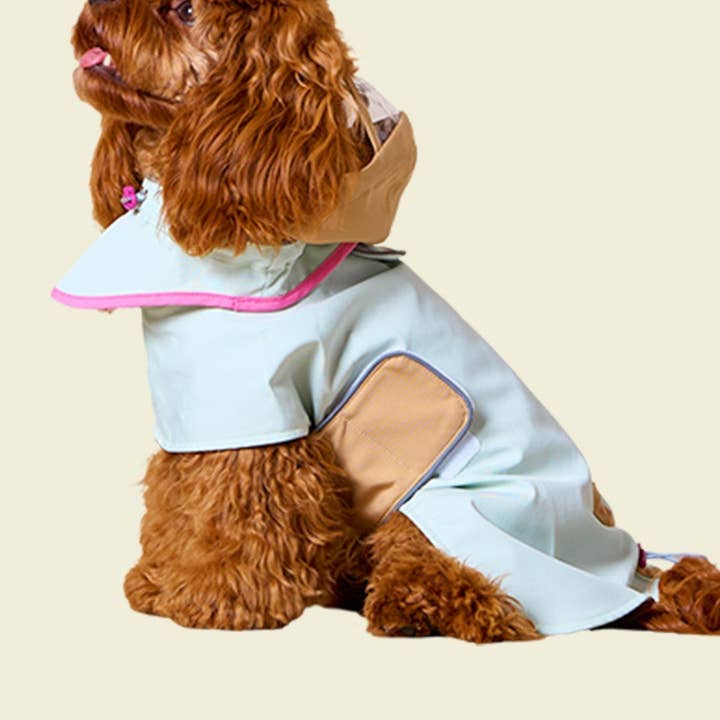 Water Proof Raincoat Sky Blue for wholesale by Likapaws / Heinemann Trading GbR