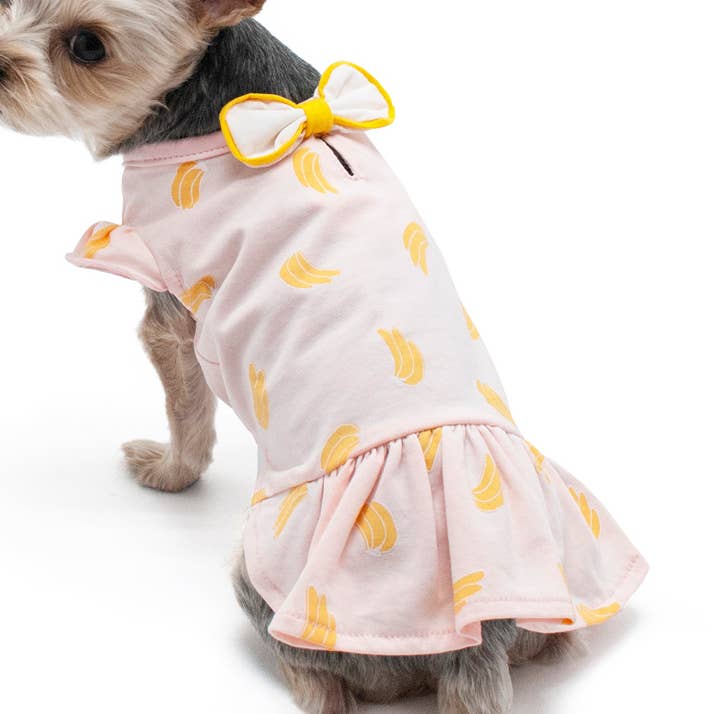 Robe Banana pour la vente par Dogo Pet