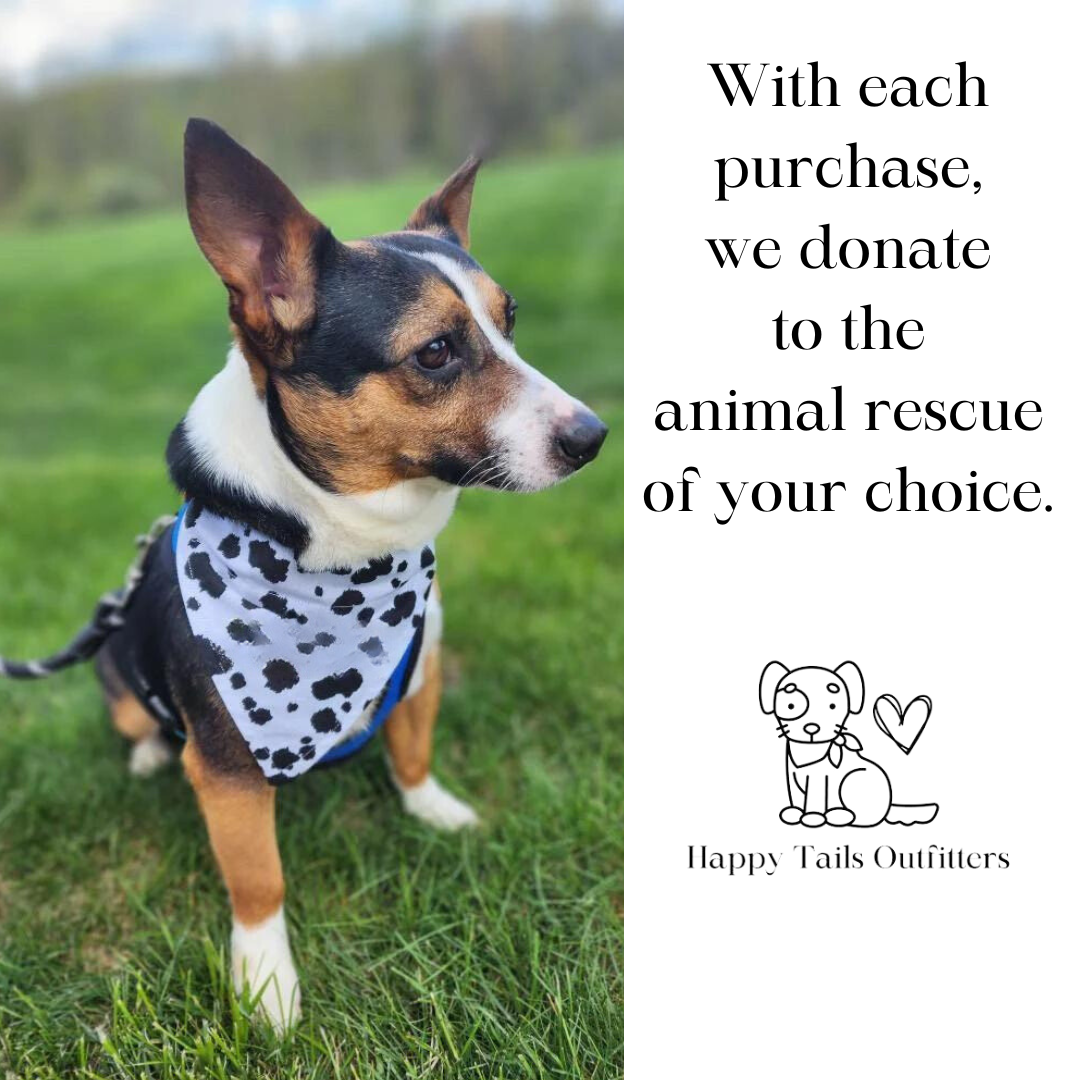 Happy Tails Outfitters – Engroshandel Kæledyrsbutterfly – Hund – Farverige sløjfer til hundefrisør7