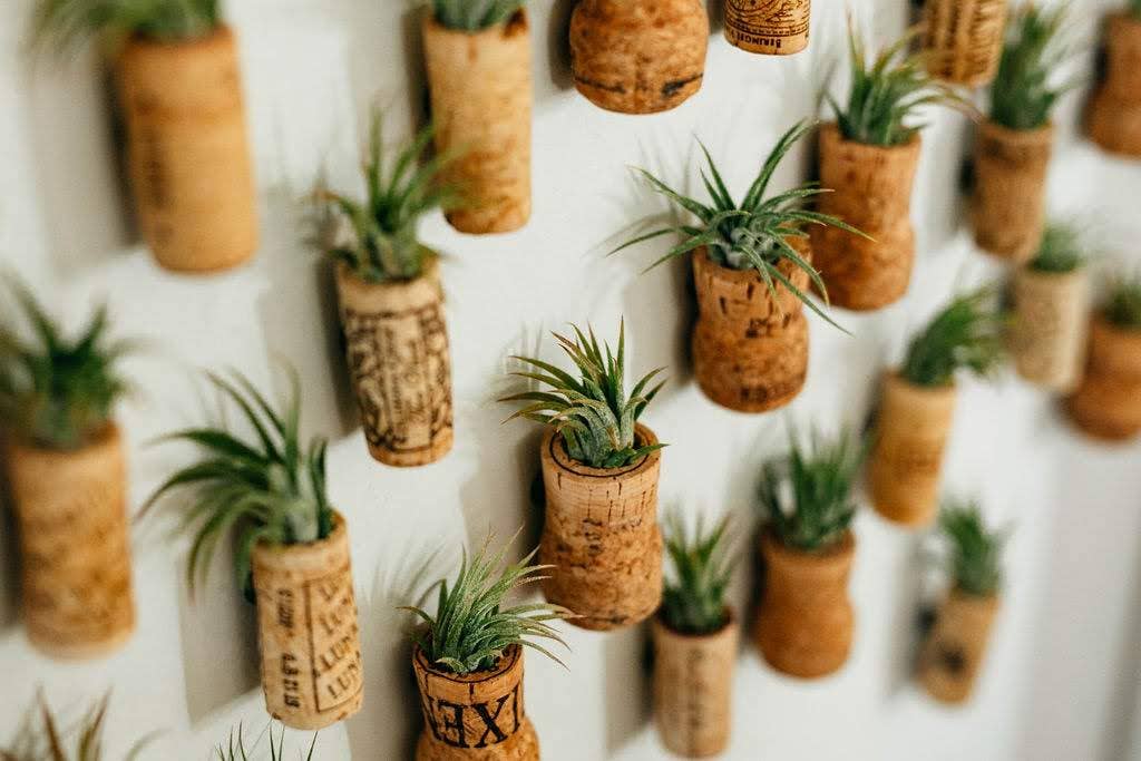 The Simply Crafty Shop - Wholesale Magnet - Magnetic Wine/ Champagne Cork Air Plant Holder19