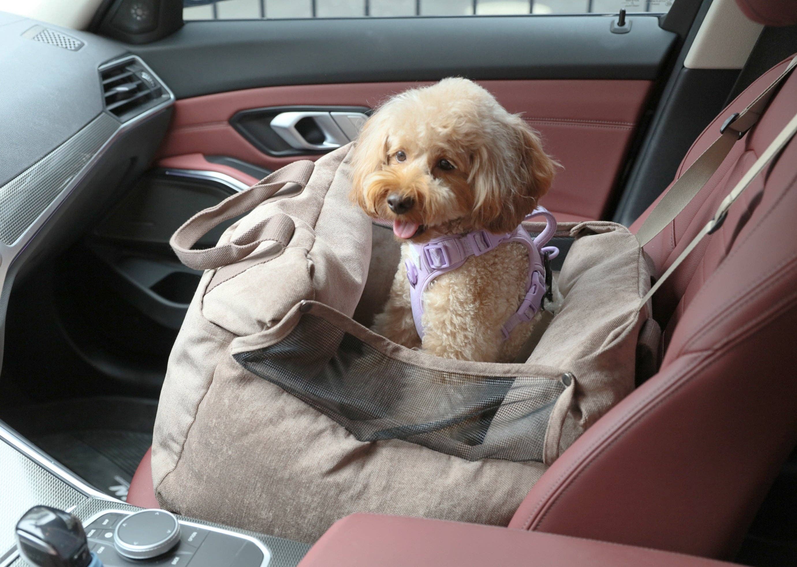 PEHOM - Wholesale Pet Carrier - Dog - Puff Guard Dog Car Seat - Camel7