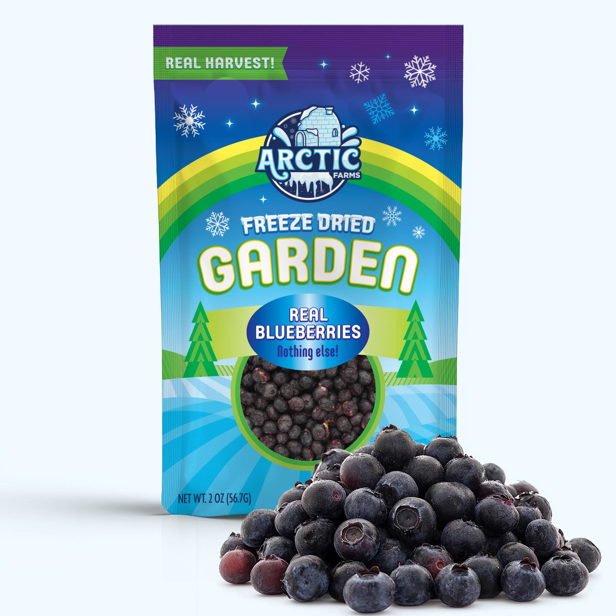 Arctic Farms - Vente Fruits secs/déshydratés - Myrtilles lyophilisées Arctic Farms Garden (vrais fruits)1