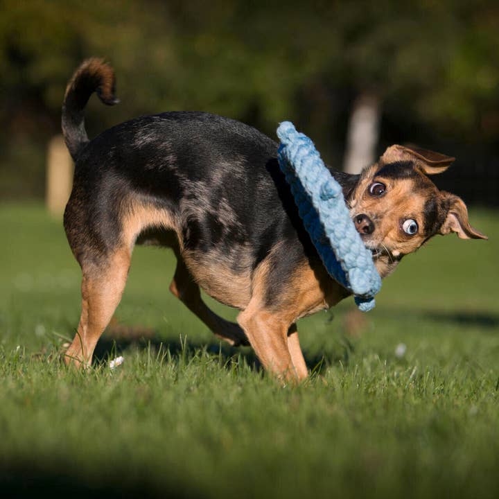LABONI - Volentis GmbH - Wholesale Pet Rope Toy - Dog - skippers