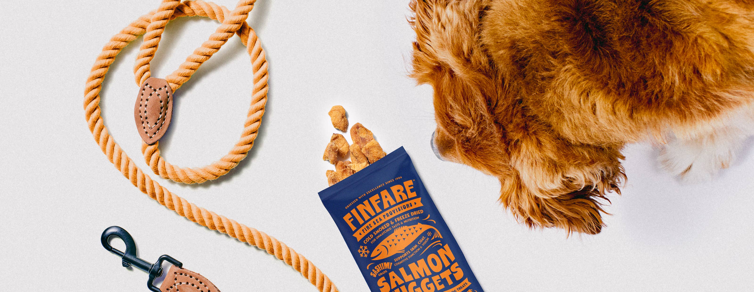 Finfare Pet Foods - Wholesale Pet Treats - Dog - On-the-Go Freeze-Dried Salmon Nuggets - Dogs, 14, 0.5oz Pks4