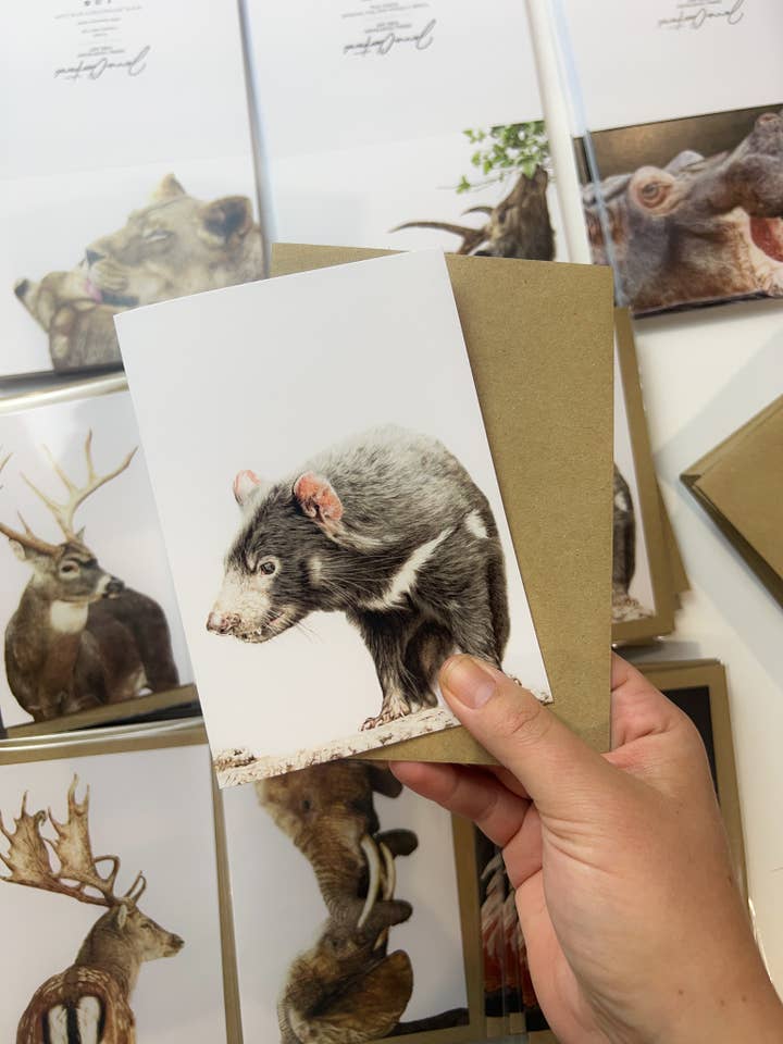 "On The Brink" Tasmanian Devil Greeting Card for wholesale by Jenna Chartrand Coloured Pencil Fine Artist