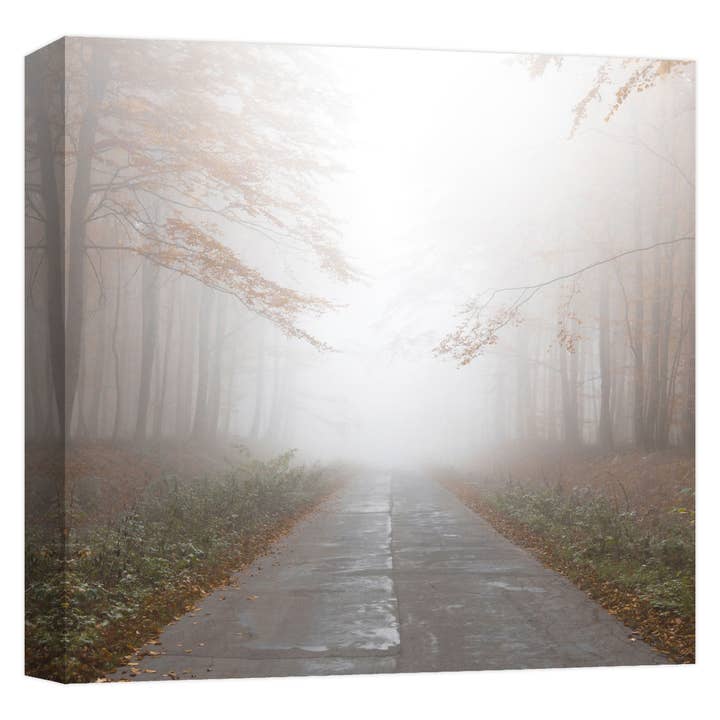 Foggy Road Iii Décoration murale sur toile 22 x 22 po pour la vente par PTM Images