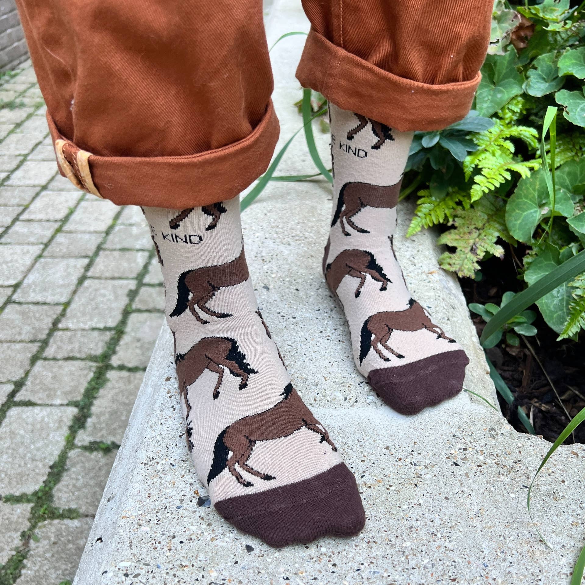 Bare Kind Socks - Vendita all'ingrosso Calzini - Unisex - Calzini da cavallo | Calzini in bambù | Calzini marroni | Calzini da fattoria8