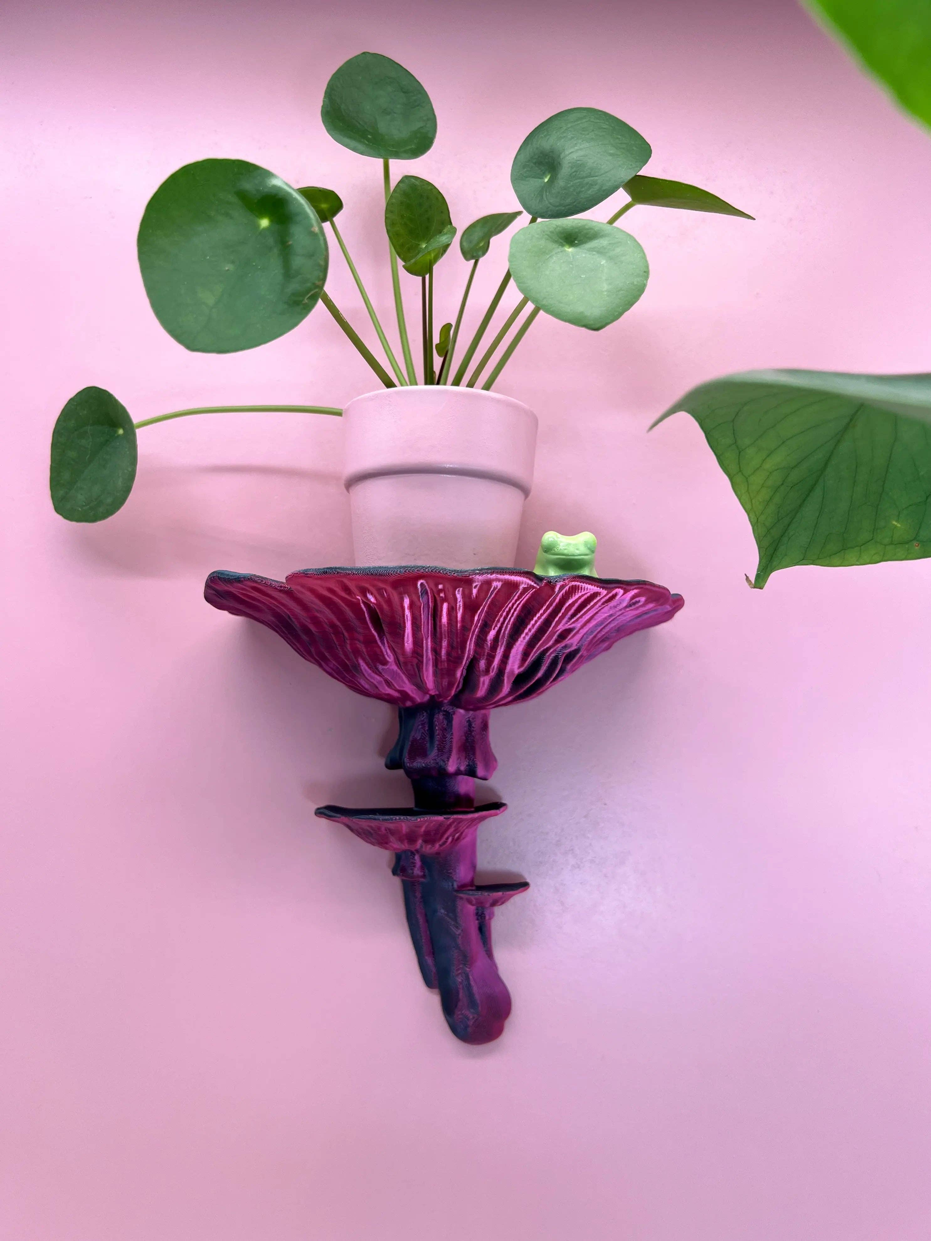 Roomberry - Wholesale Wall Mounted Shelf - Amanita Mushroom Wall Shelf – Floating Shelf for Stylish Decor12