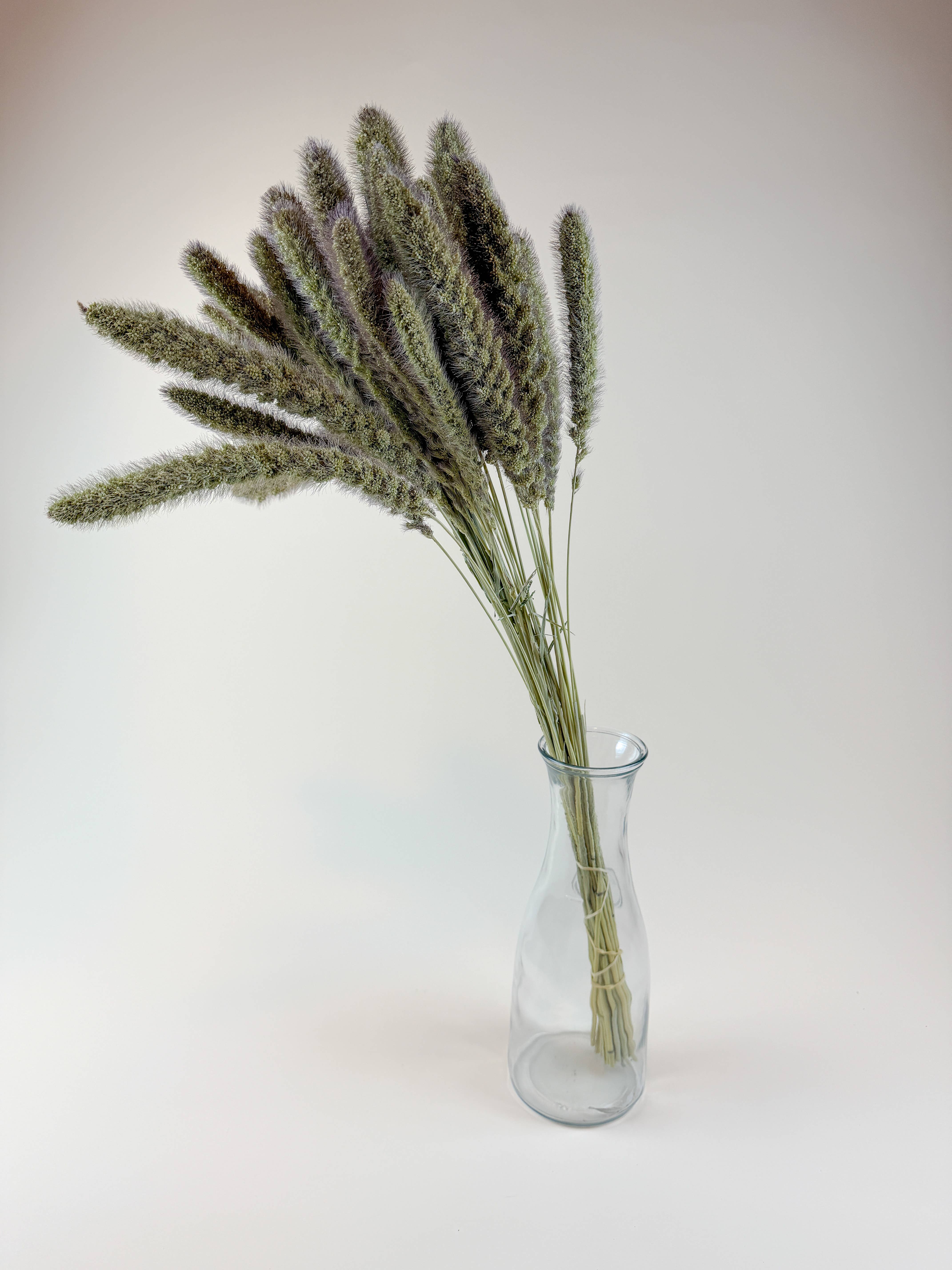 Lovejoy Farms Premium Dried Flowers - Wholesale Dried/Pressed Flowers - German Millet – Natural Dried Millet Stems for Floral Design1