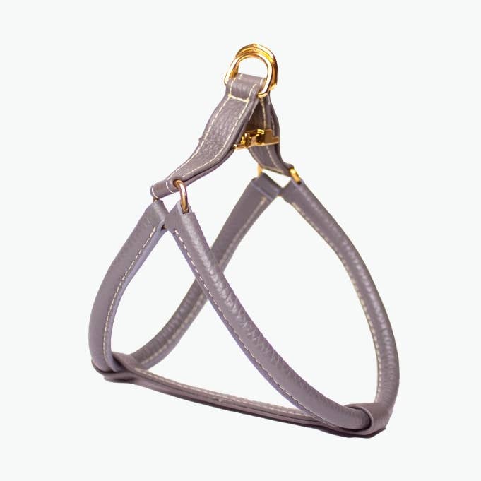 Agnes sele - Grå, Extra Small för wholesale av Clementine est dogs