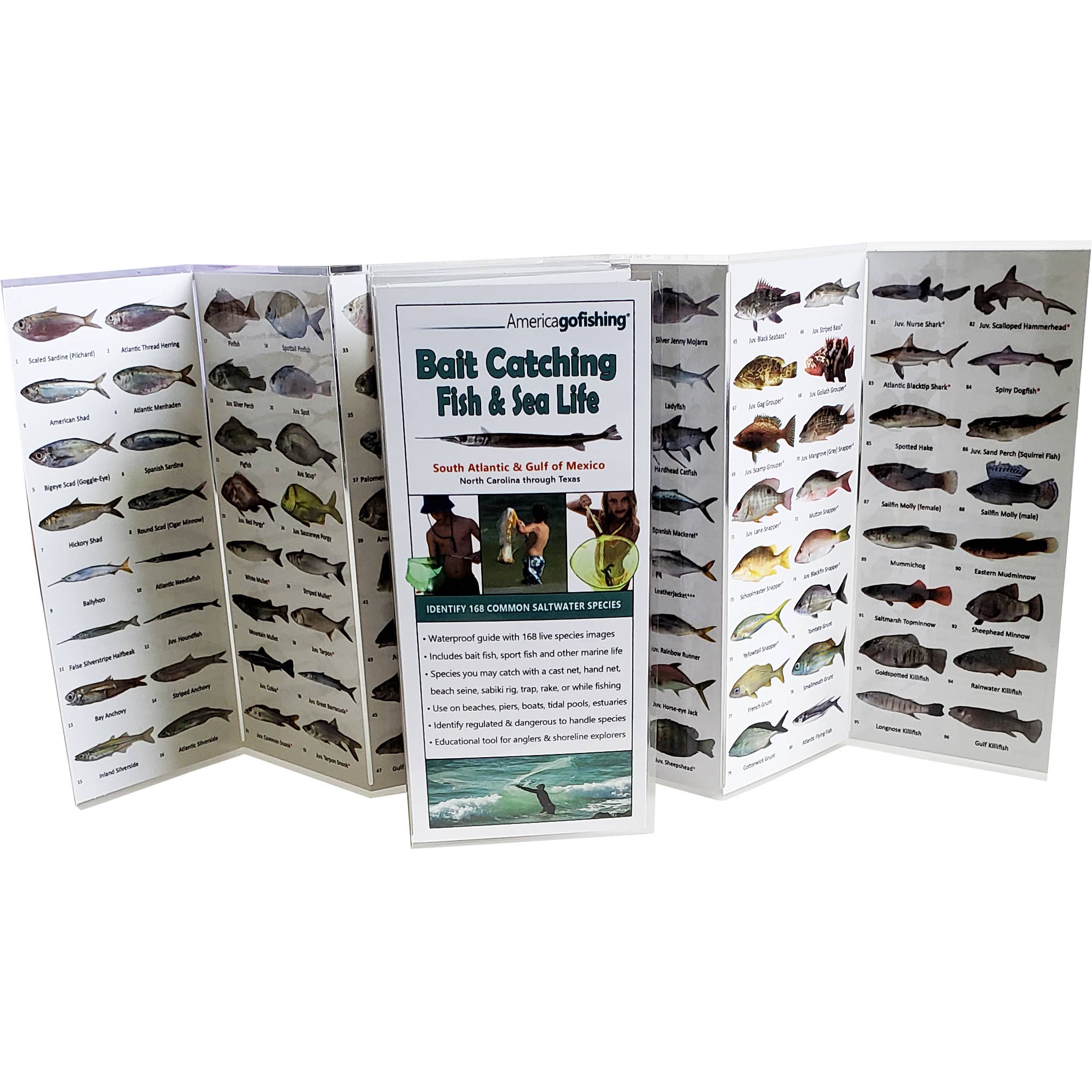 America Go Fishing - Wholesale Nature & Outdoors - Bait Catching Fish and Sea Life Guide - So. Atlantic0