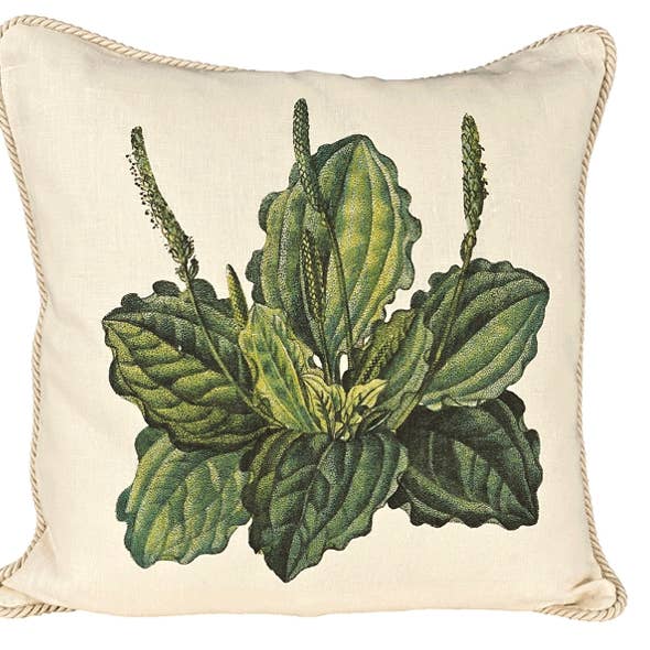 Fleurs/Nature/ Oreiller plantain pour la vente par Ox Bow Decor