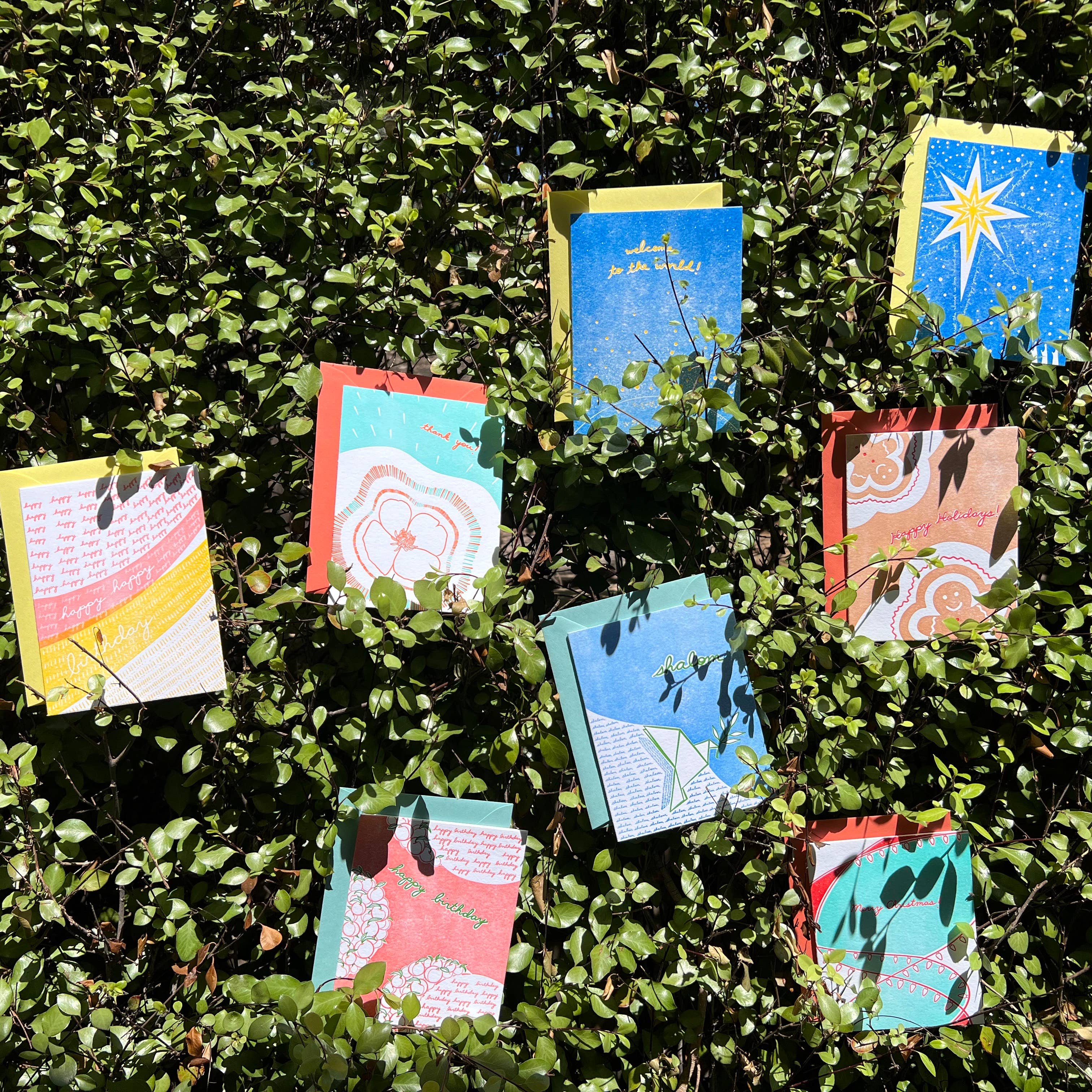 Helen Edna - Wholesale Christmas Card - Christmas Nativity Star - Holiday Greeting Card1