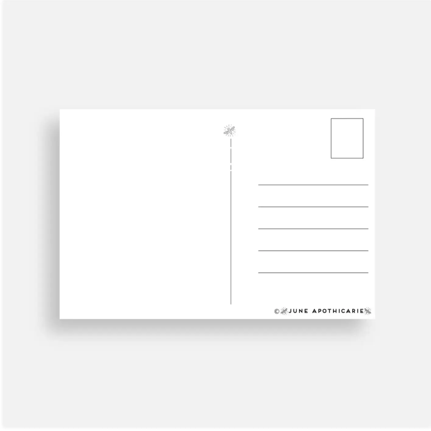 June Apothicarie - Wholesale Postcard - "Greetings From Up North" Northern Lights Postcard1