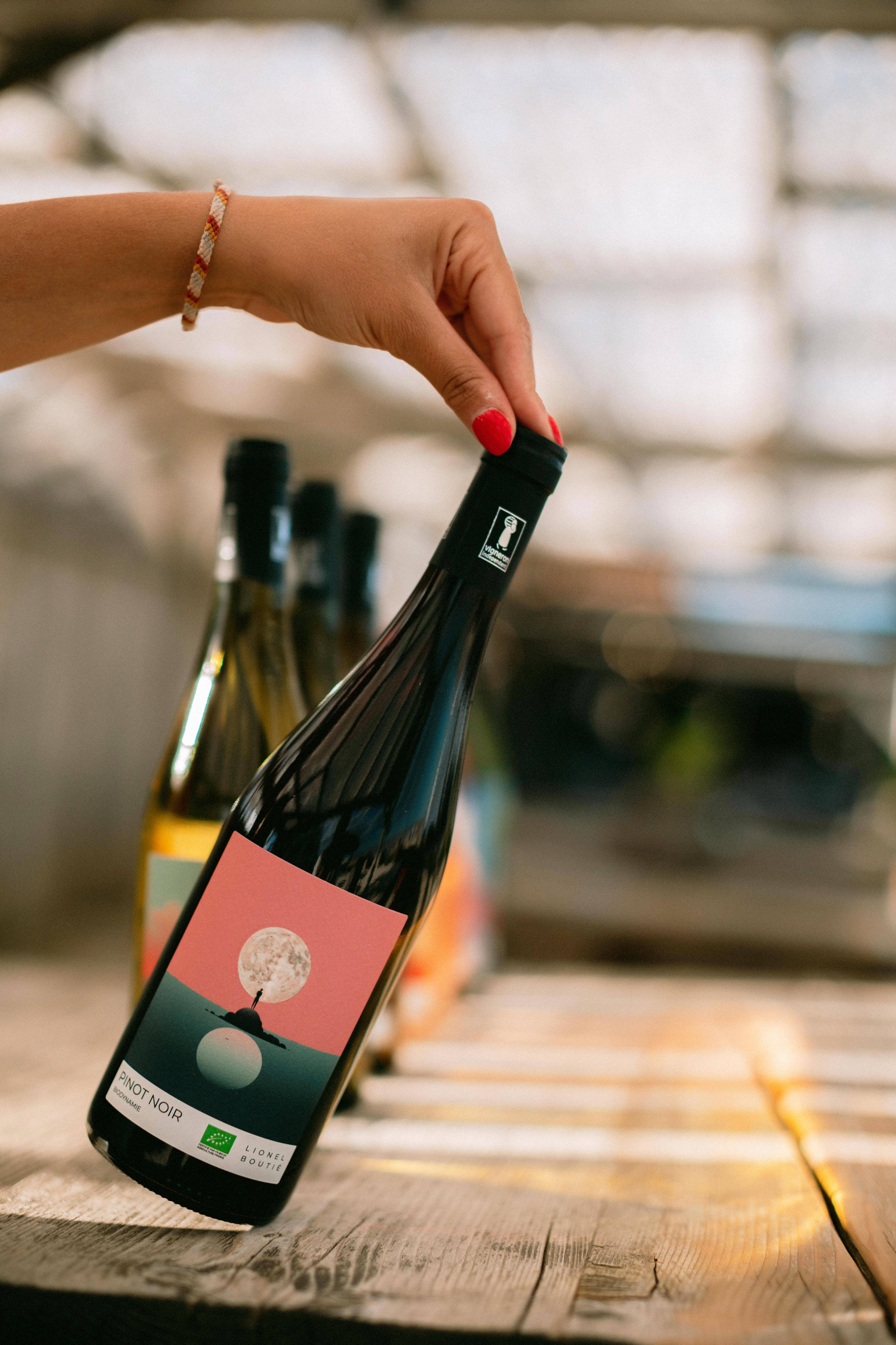 Domaine Ricardelle de Lautrec - Wholesale Red Wine - Biodynamic Red Wine - 100% Pinot Noir Lune 20243