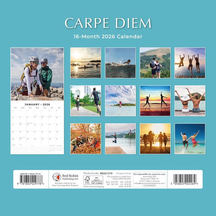 MiddleGift - Wholesale Calendar - Red Robin 2026 Carpe Diem Monthly Wall Calendar1